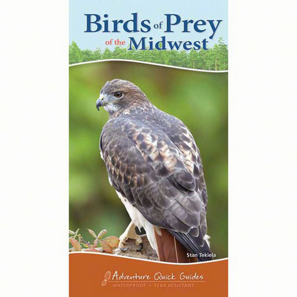 Birds of Prey Midwest Quick Guide
