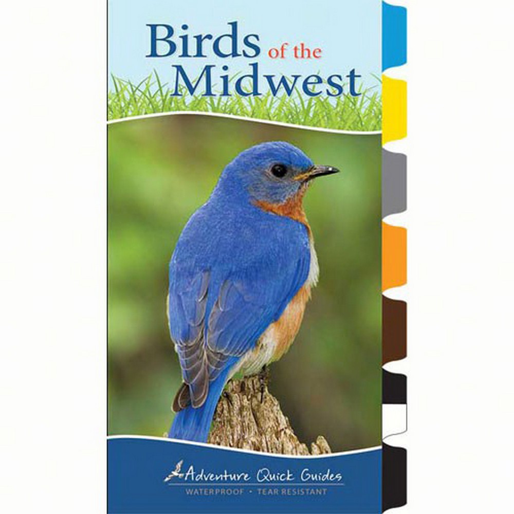 Birds of the Midwest Quick Guide