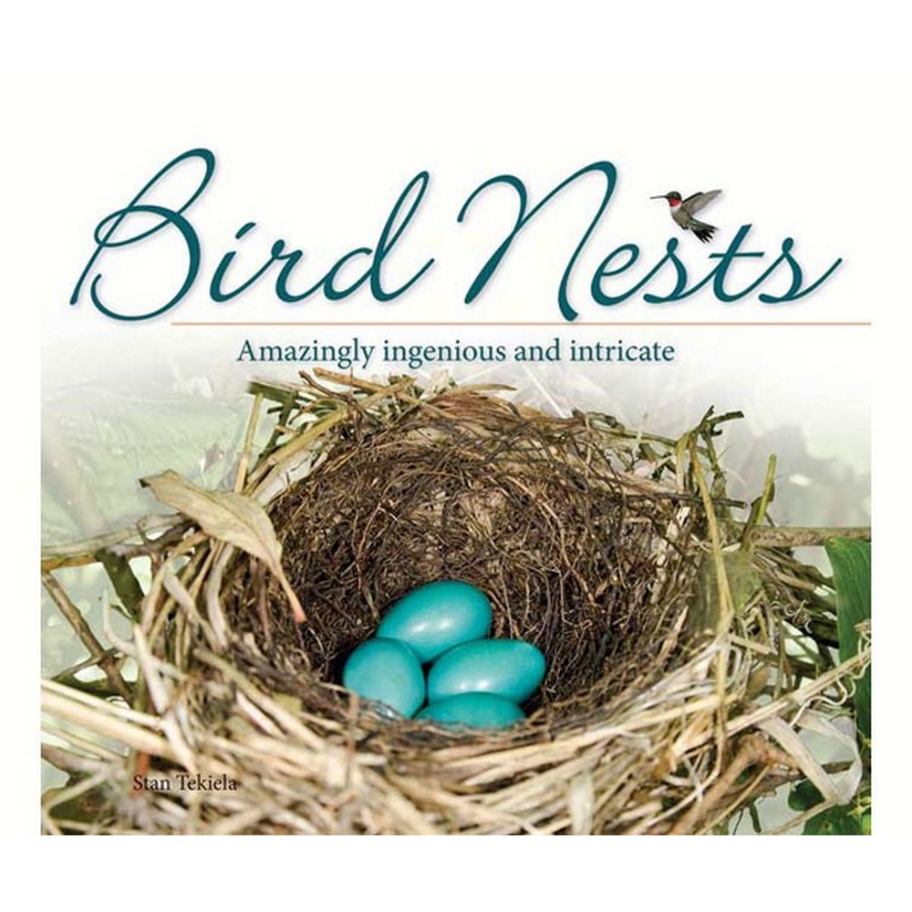 Bird Nests