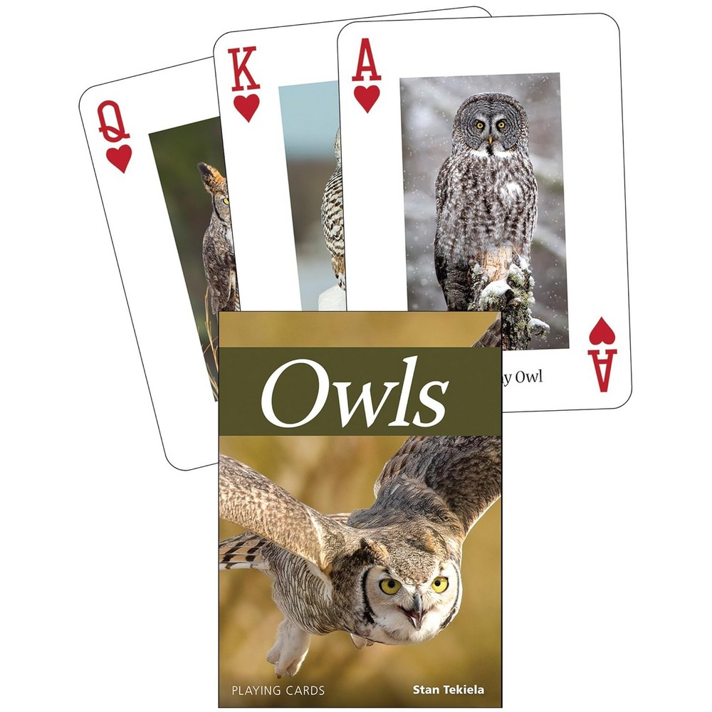 Owls Playing Cards