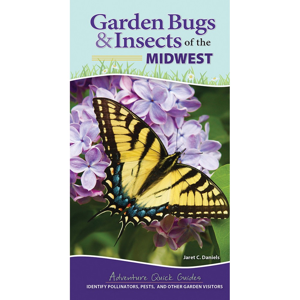 Garden Bugs and Insects of the Midwest