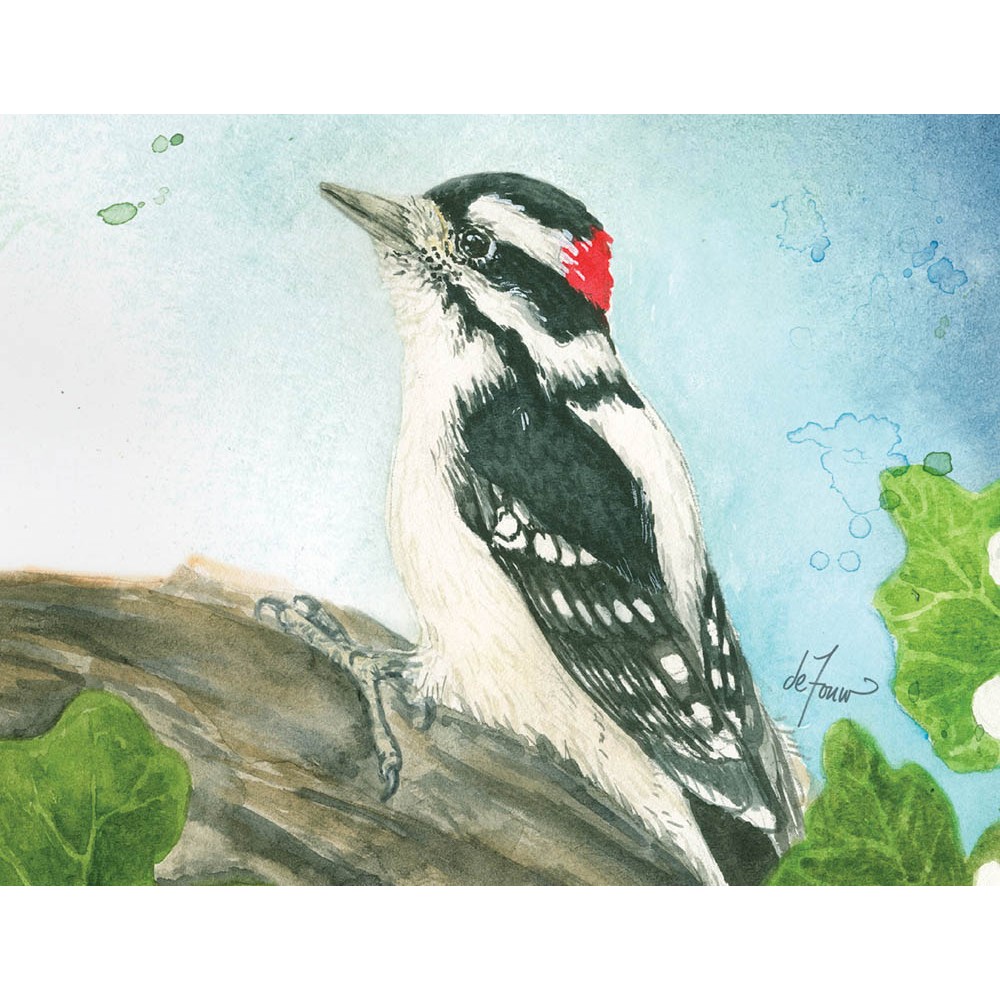 Backyard Birds Boxed Notecard Assortment 12 Cards