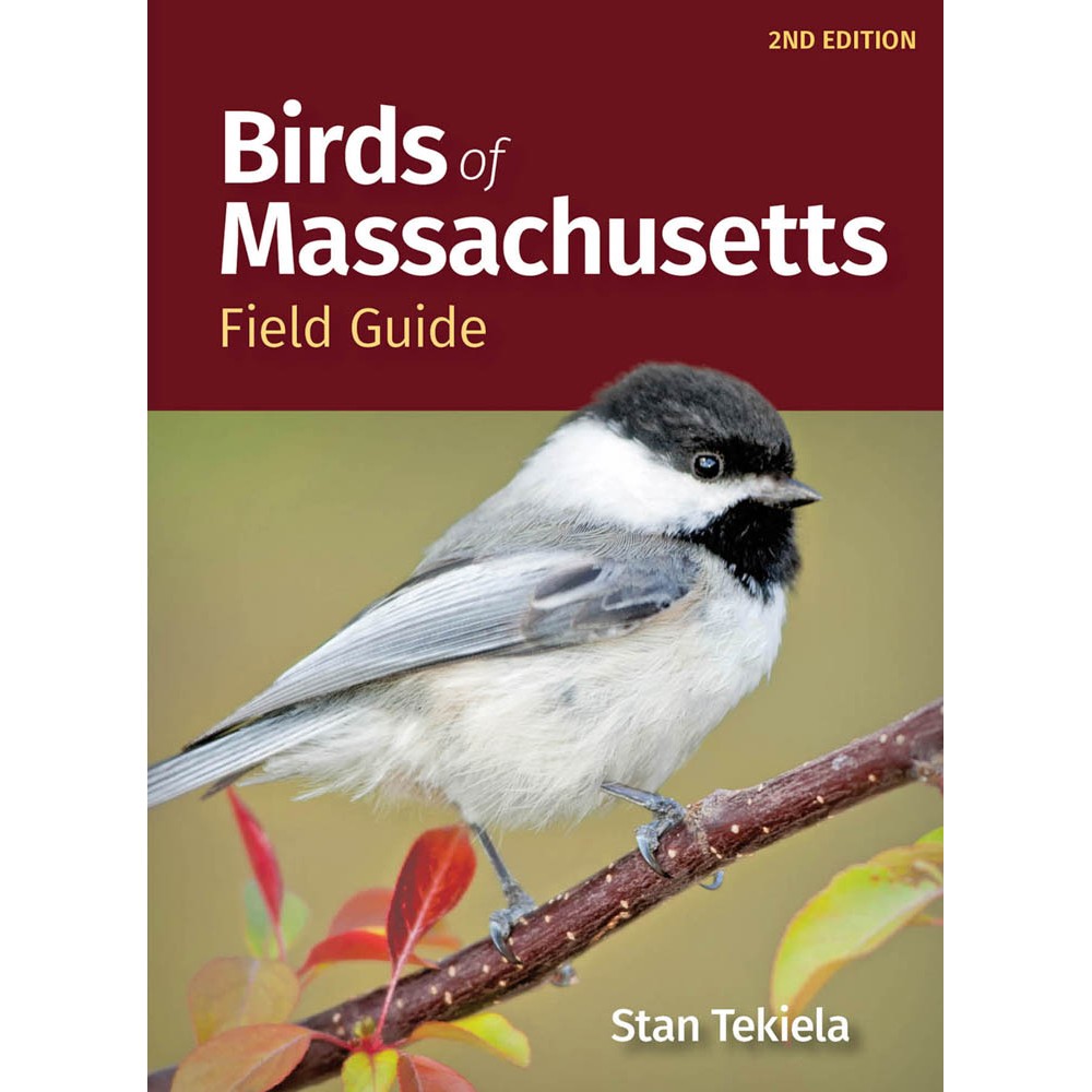 Birds of Massachusetts Field Guide 2nd Edition