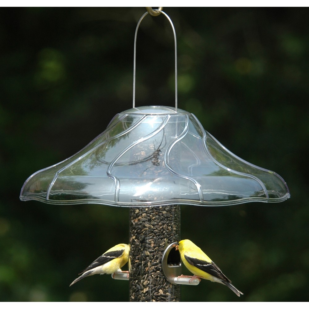 Fancy 14in. Swirl Dome