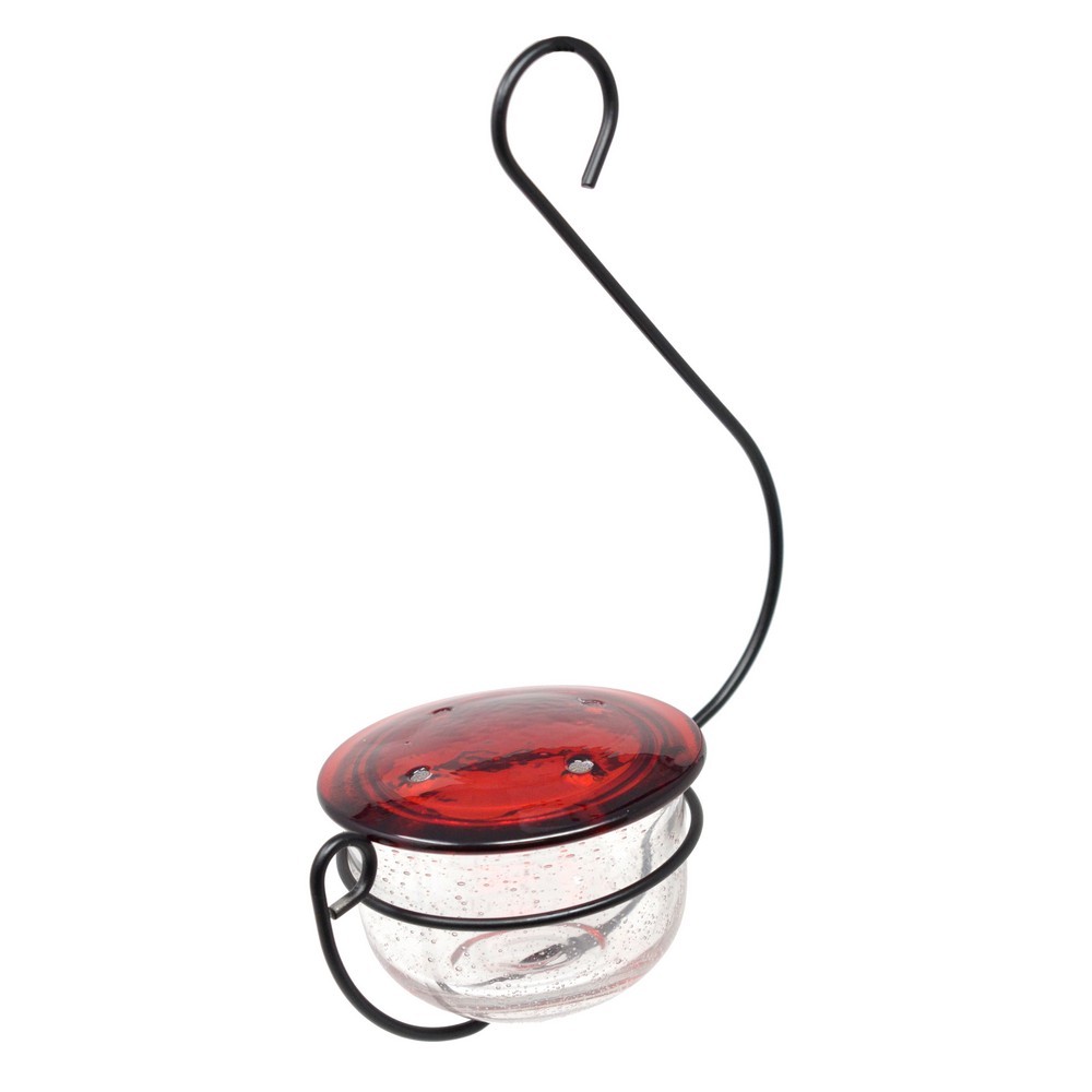 Clear Glass Hanging Hummingbird Feeder