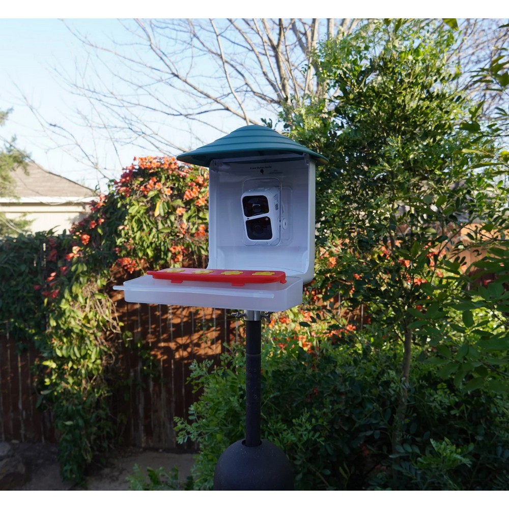 BeakView Hummingbird Feeder Attachment 4 Flower Feeder