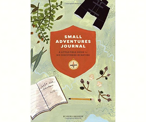Small Adventures Journal