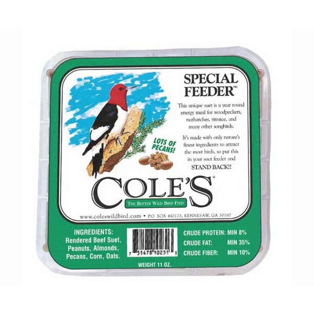 Special Feeder Suet Cake + Freight