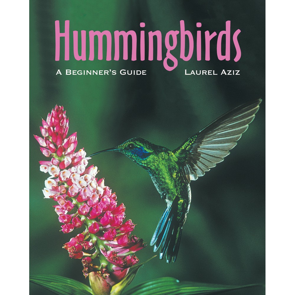 Hummingbirds A Beginners Guide