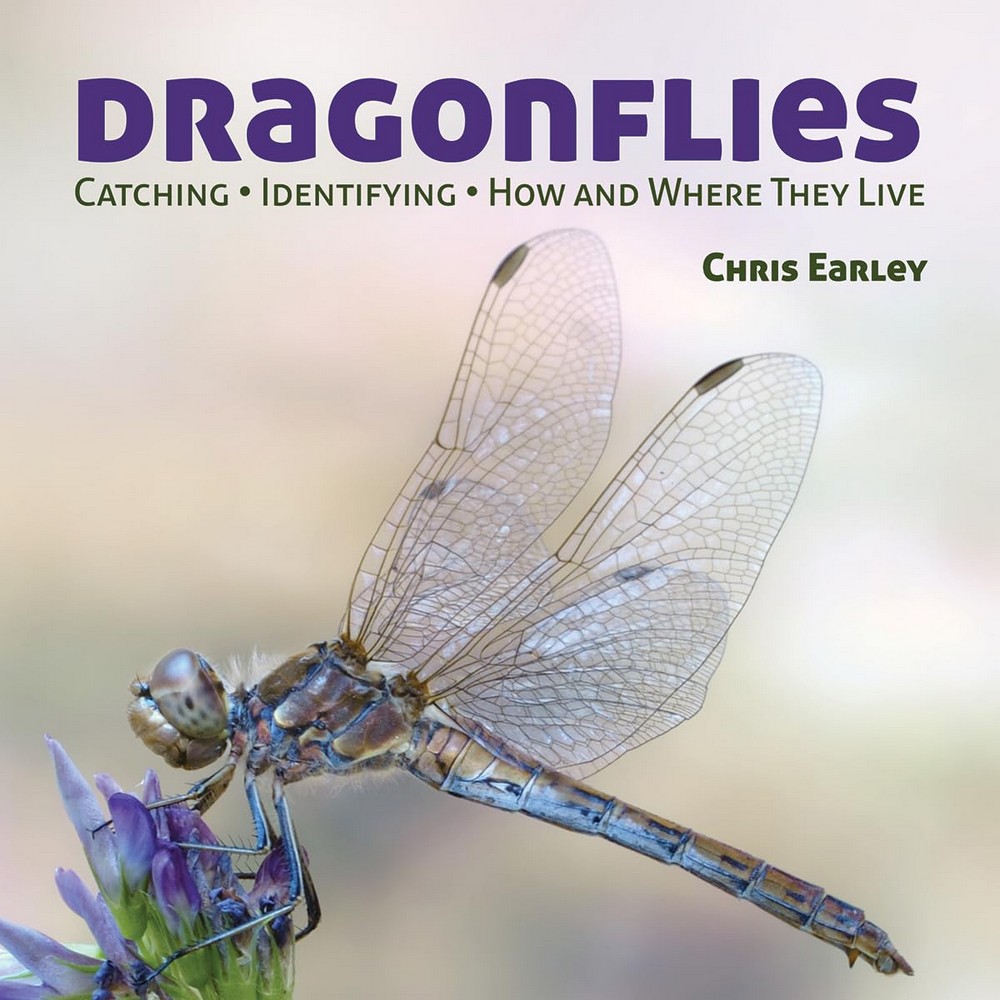 Dragonflies by Chris Earley
