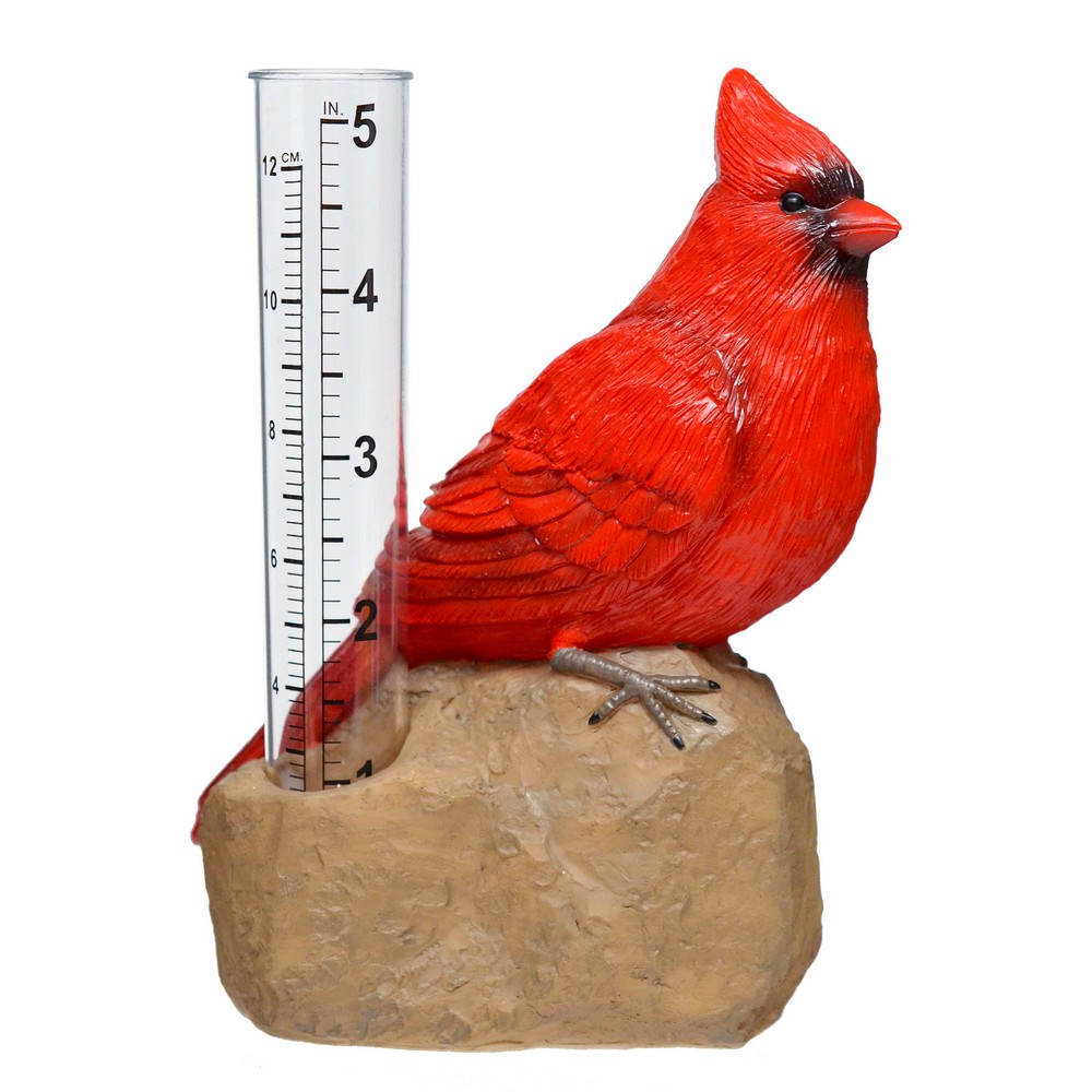 Cardinal Rain Gauge