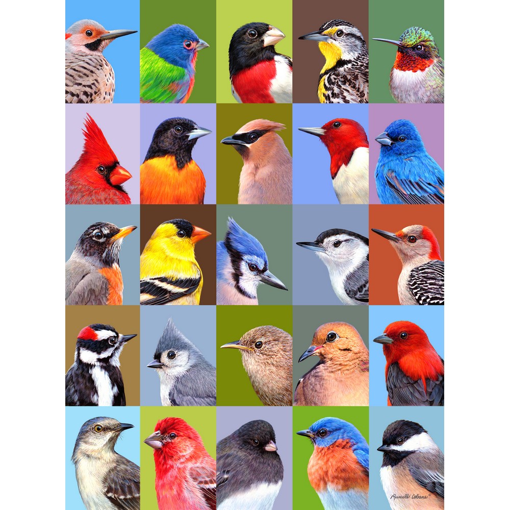 Backyard Bird Friends 1000 Piece Puzzle