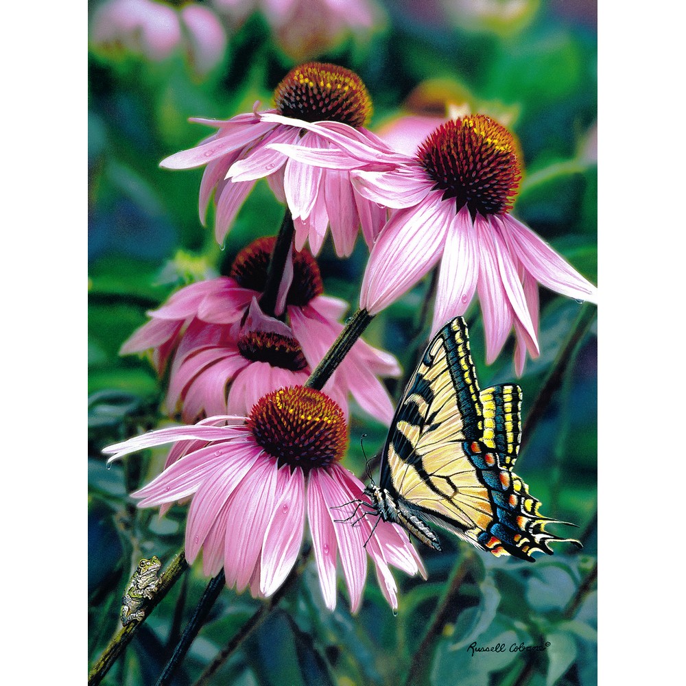 Dropping By 1000 Piece Puzzle