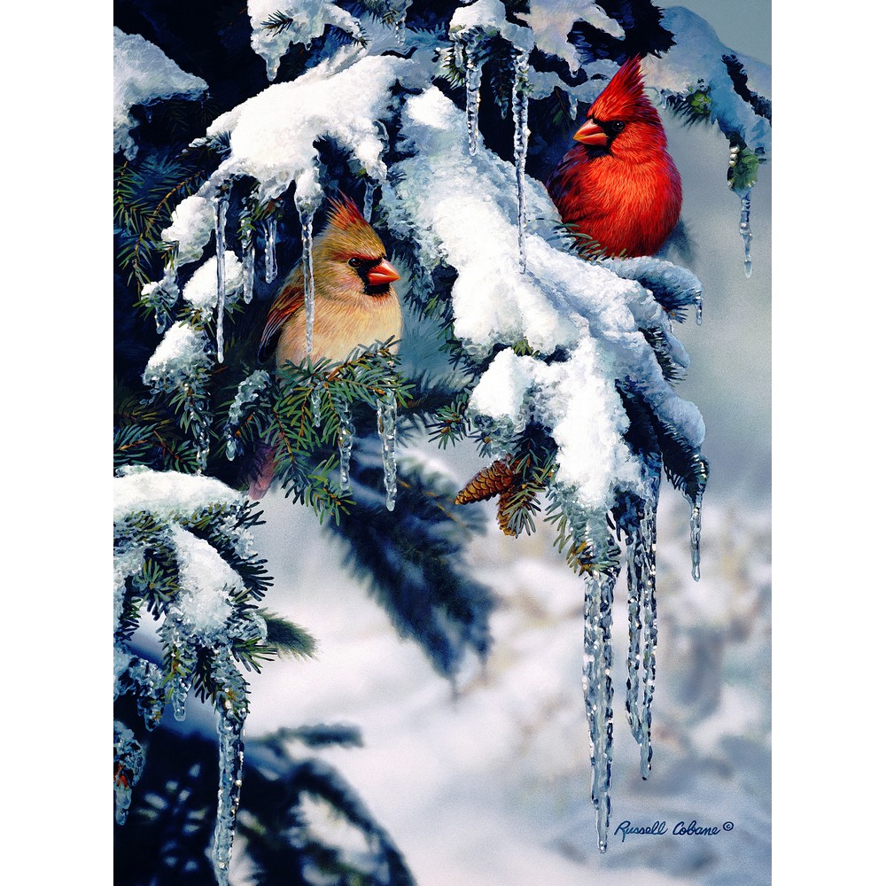 Natures Jewels 1000 Piece Puzzle