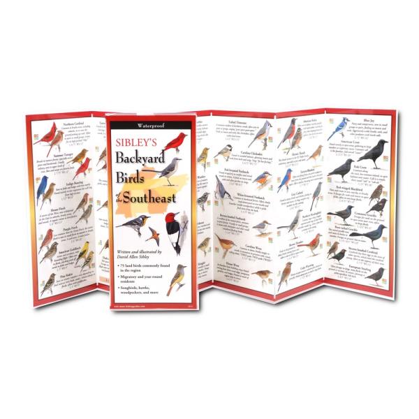 Sibleys Backyard Birds Southeast