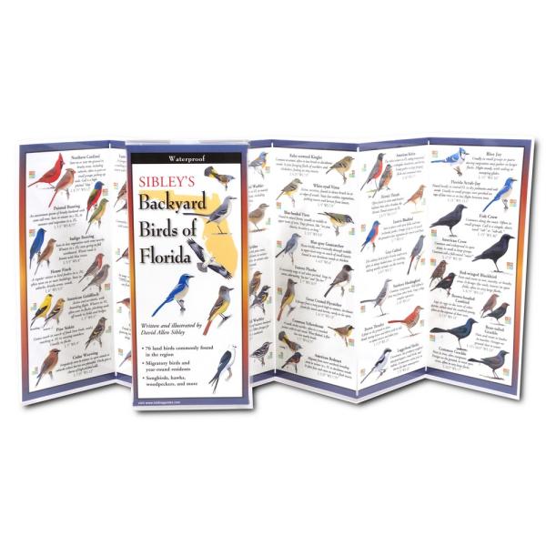 Sibleys Backyard Birds Florida