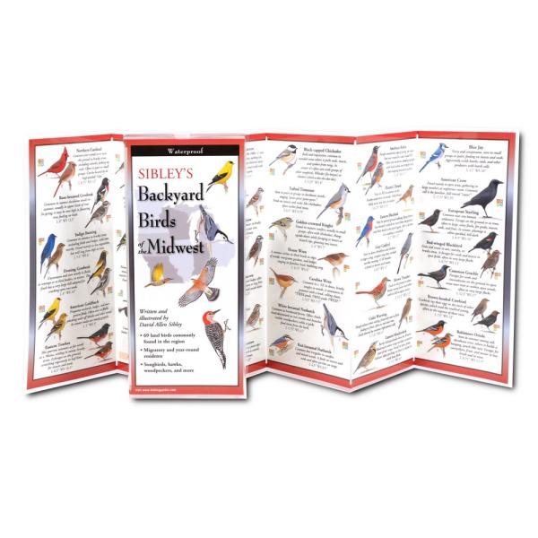 Sibleys Backyard Birds of the Midwest