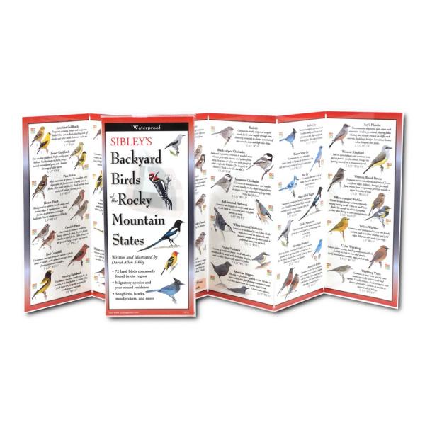 Sibleys Backyard Birds of Rocky Mountain States