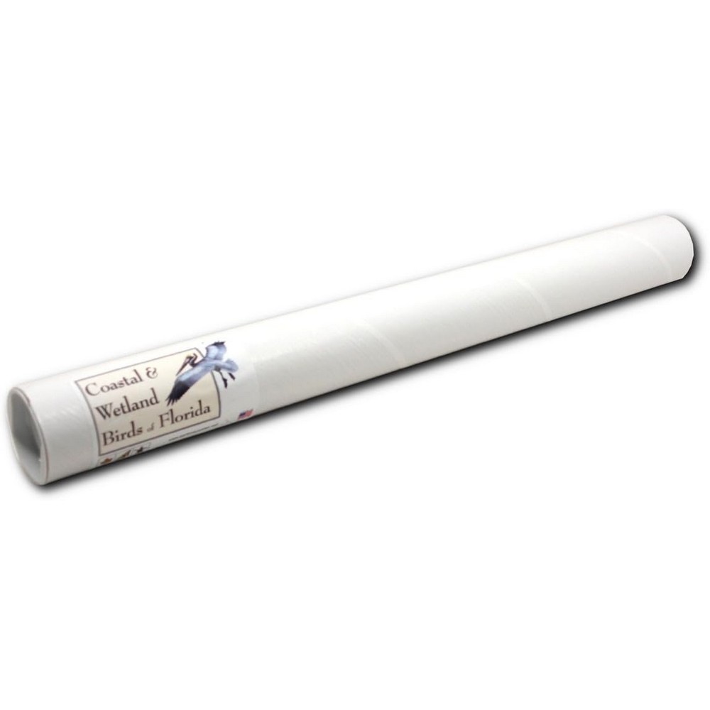 Coastal and Wetland Birds of Florida Poster