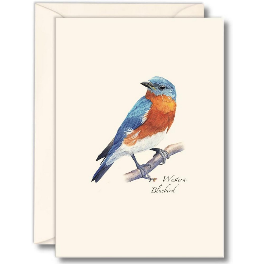 Western Bluebird Notecards
