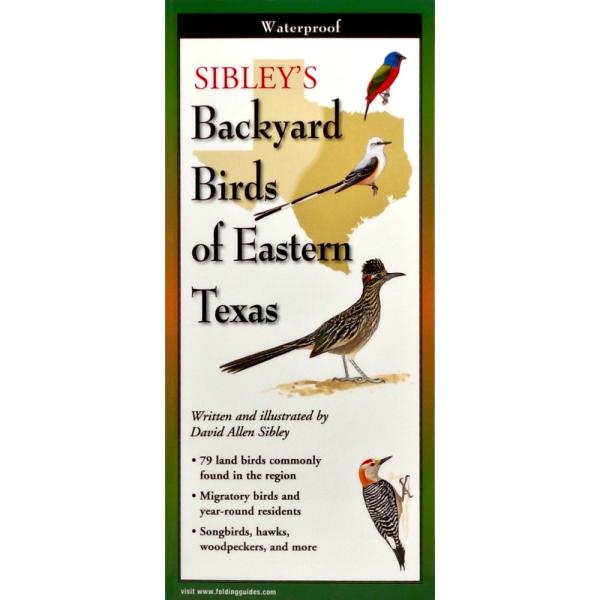 Sibleys Backyard Birds Eastern Texas