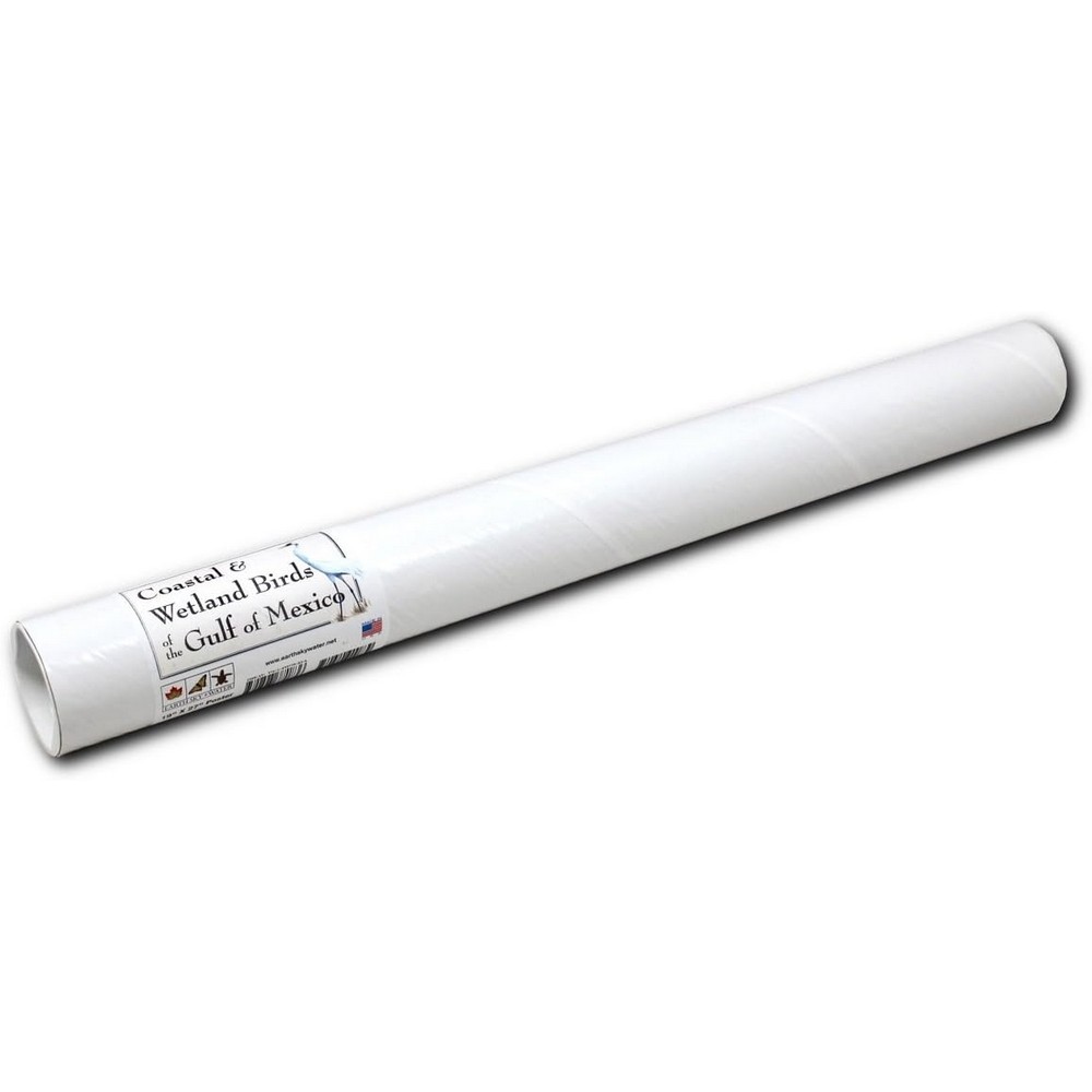 Coastal and Wetland Birds of Gulf of Mexico Poster