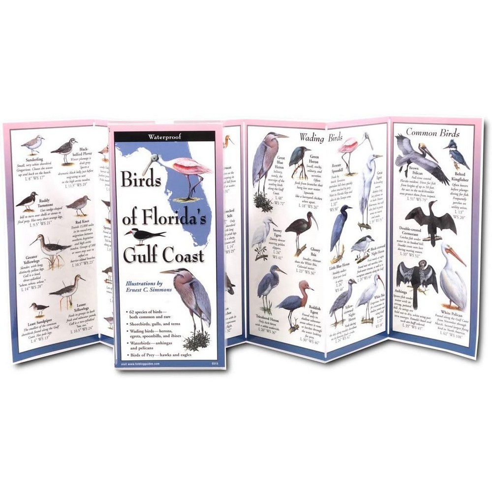 Birds of Floridas Gulf Coast