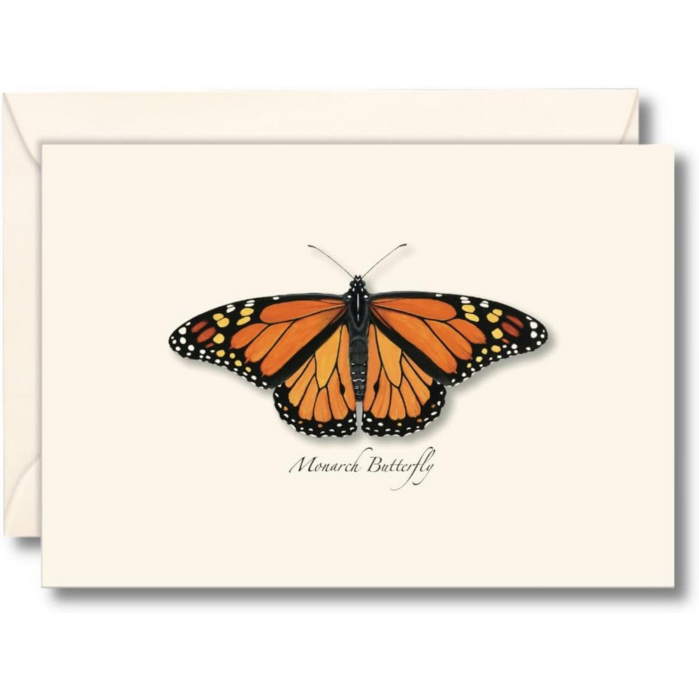 Monarch Butterfly Notecard Assortment