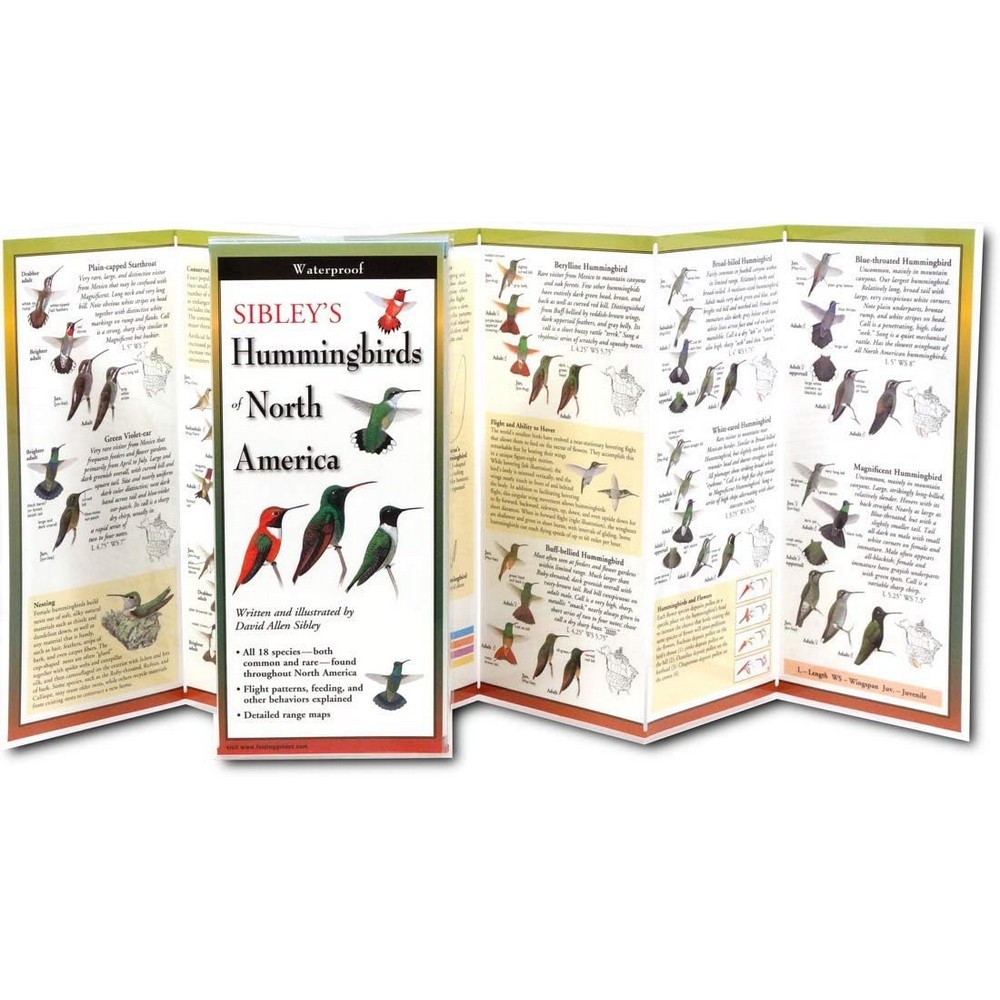 Sibleys Hummingbirds of North America