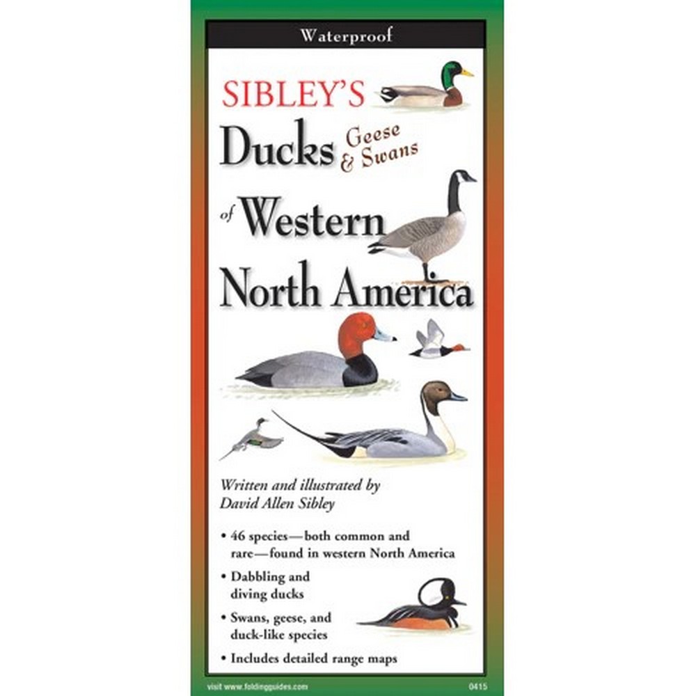 Sibleys Ducks, Geese and Swans of Western North America