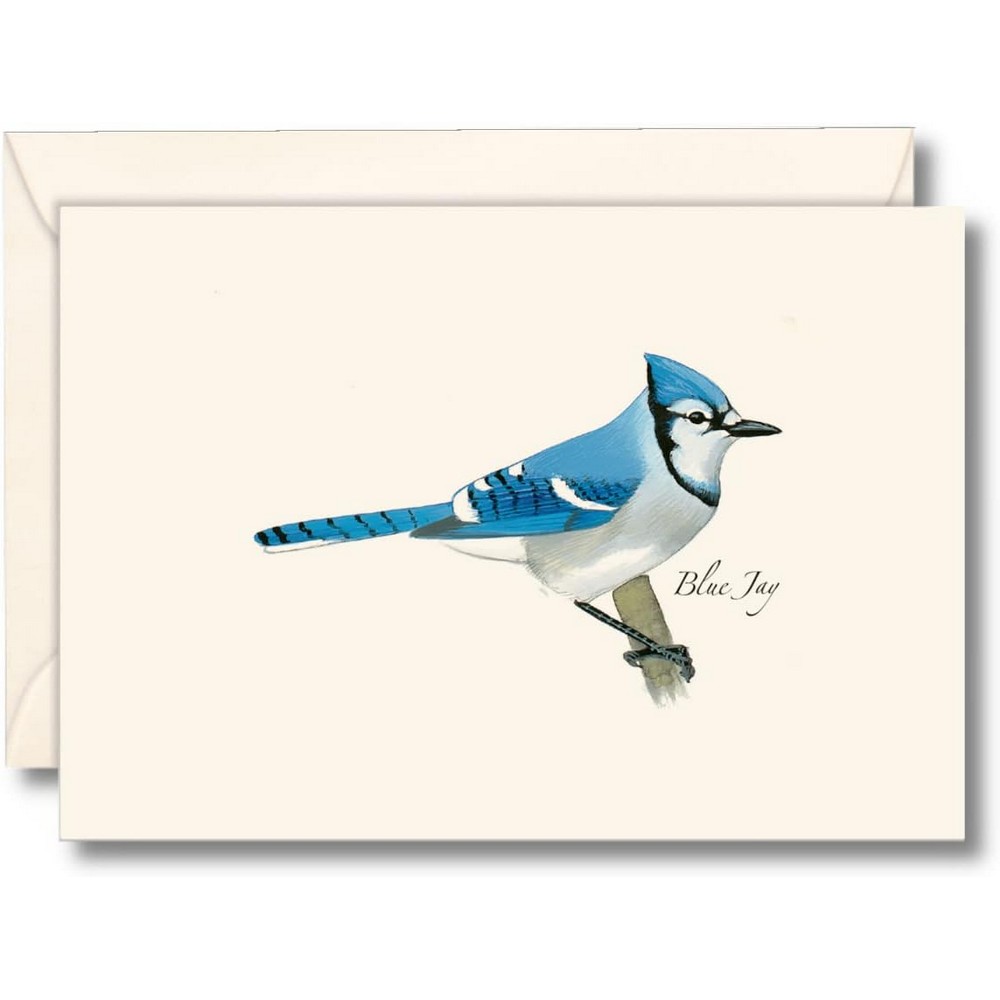 Blue Jay Notecards