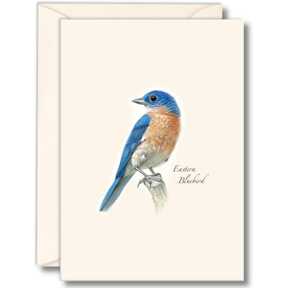 Bluebird II Boxed Notecards