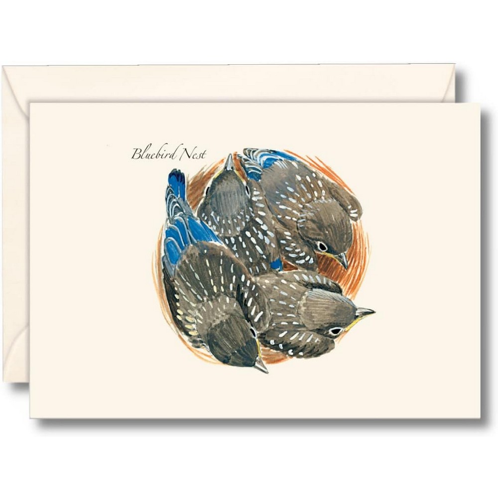 Bluebird Nest Notecards