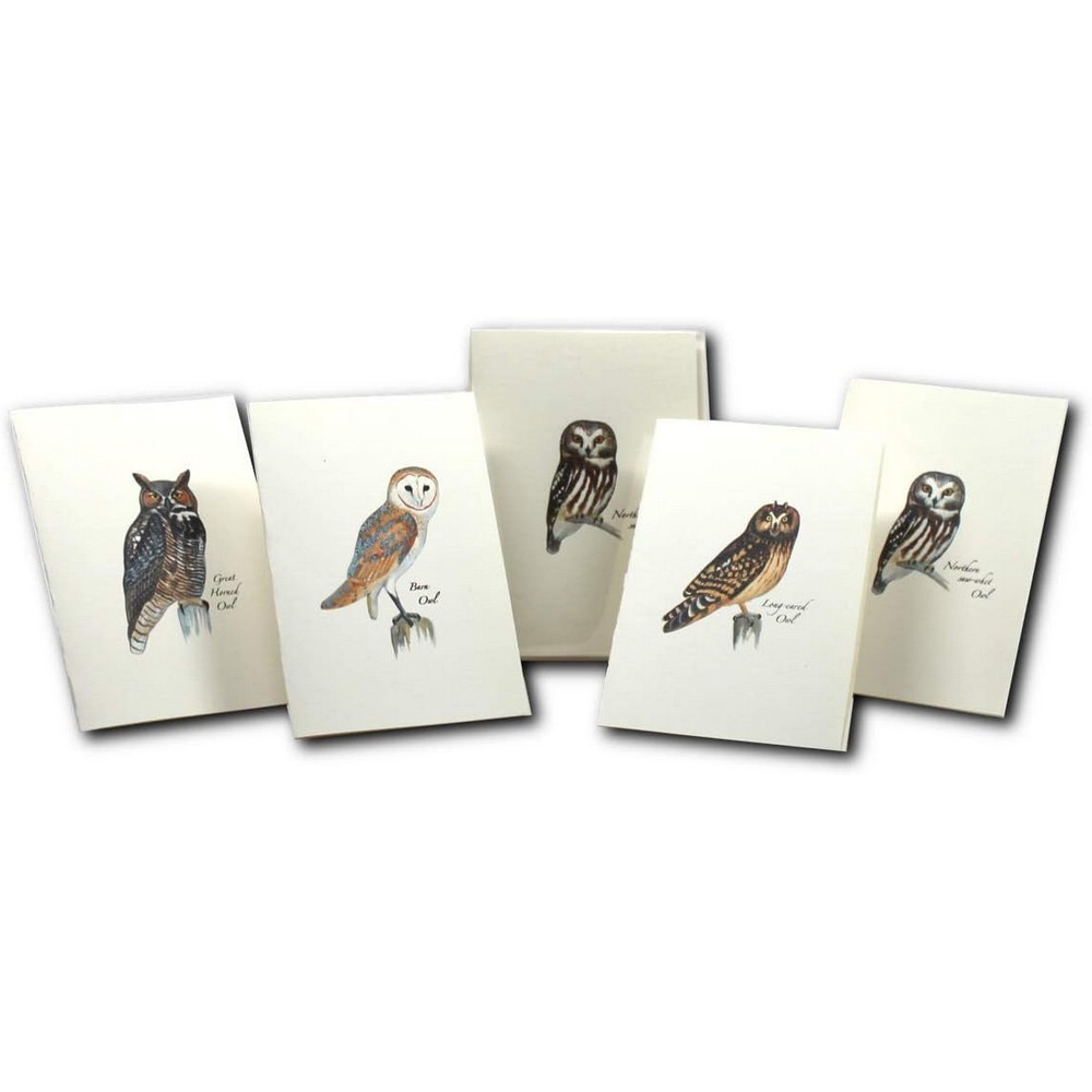 Sibley Owl Assortment