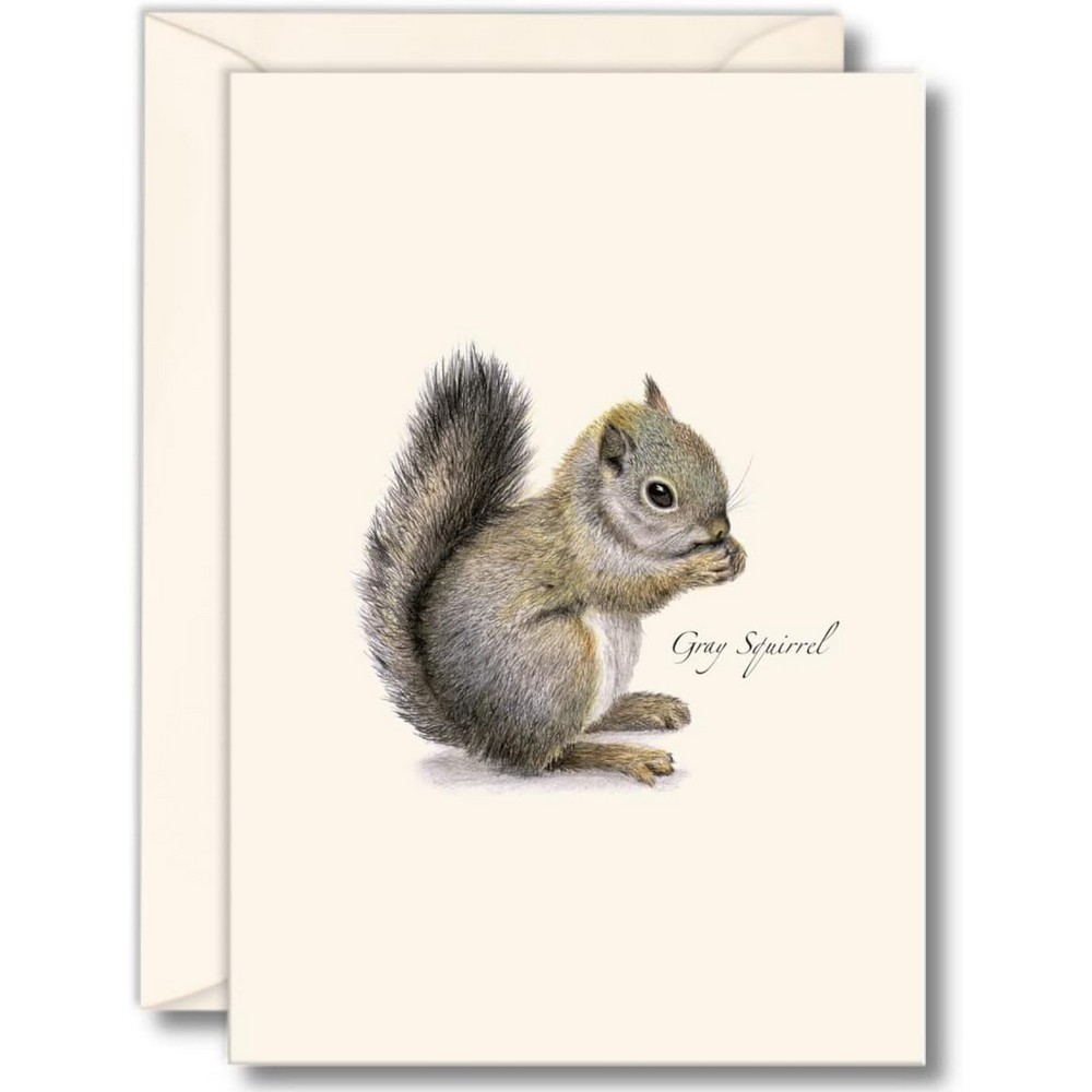 Gray Squirrel Boxed Notecards