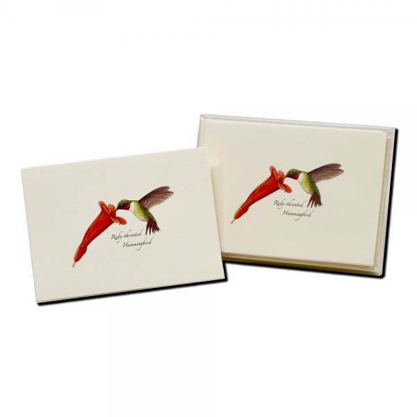 Hummer and Flowers Notecards