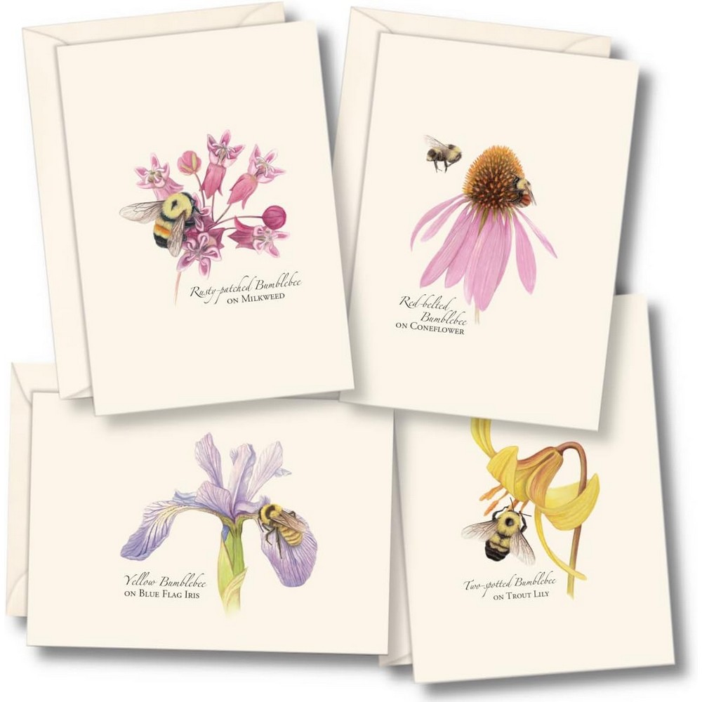 Bumblebee Assortment Notecards