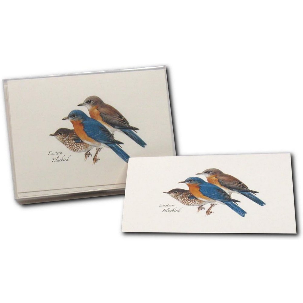 Eastern Bluebird Notecard Assortment
