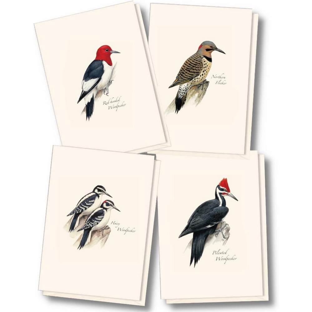 Petersons Woodpecker Notecard Assortment