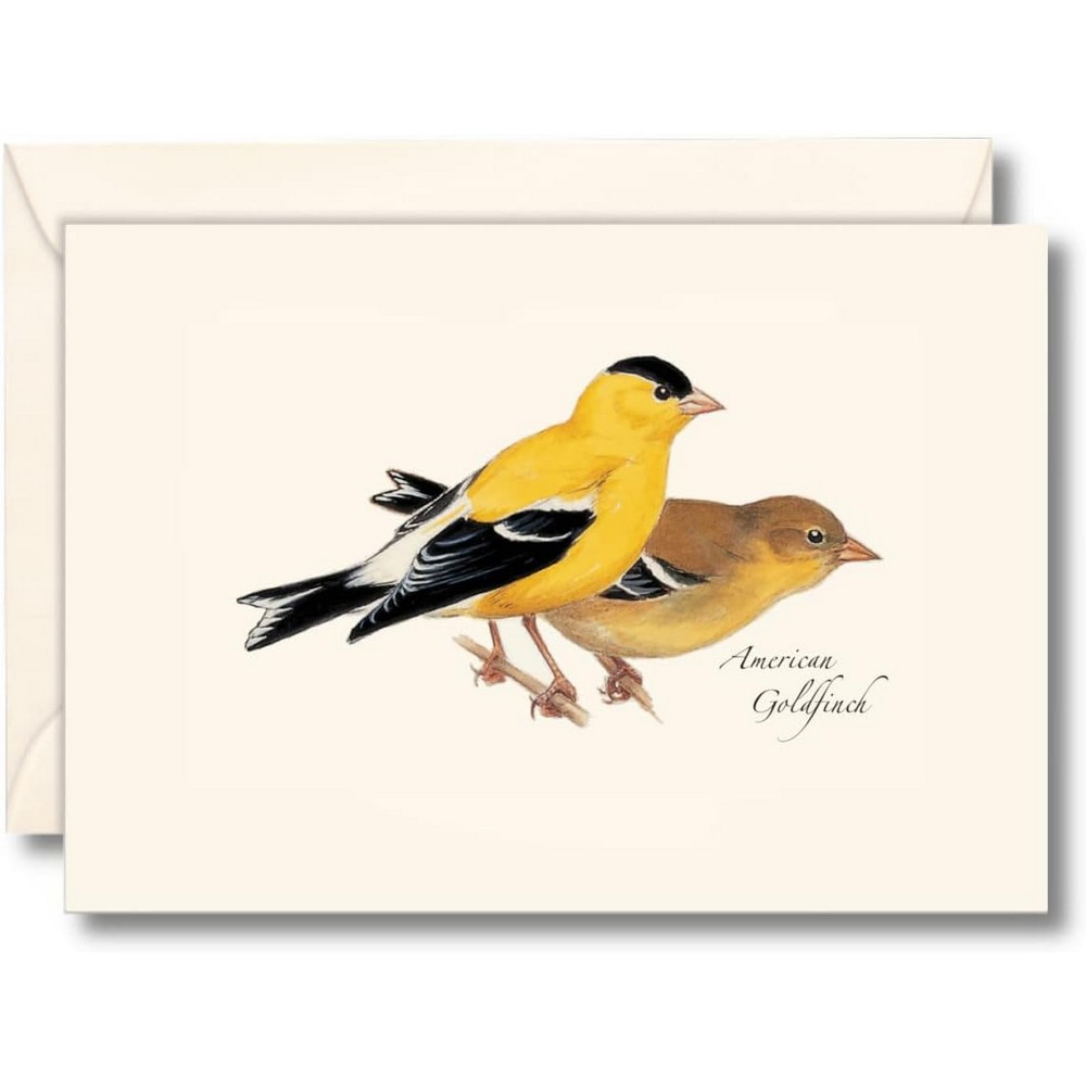 American Goldfinch Notecard Assortment