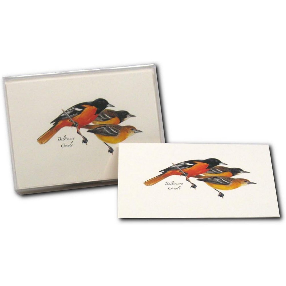 Baltimore Oriole Notecard Assortment