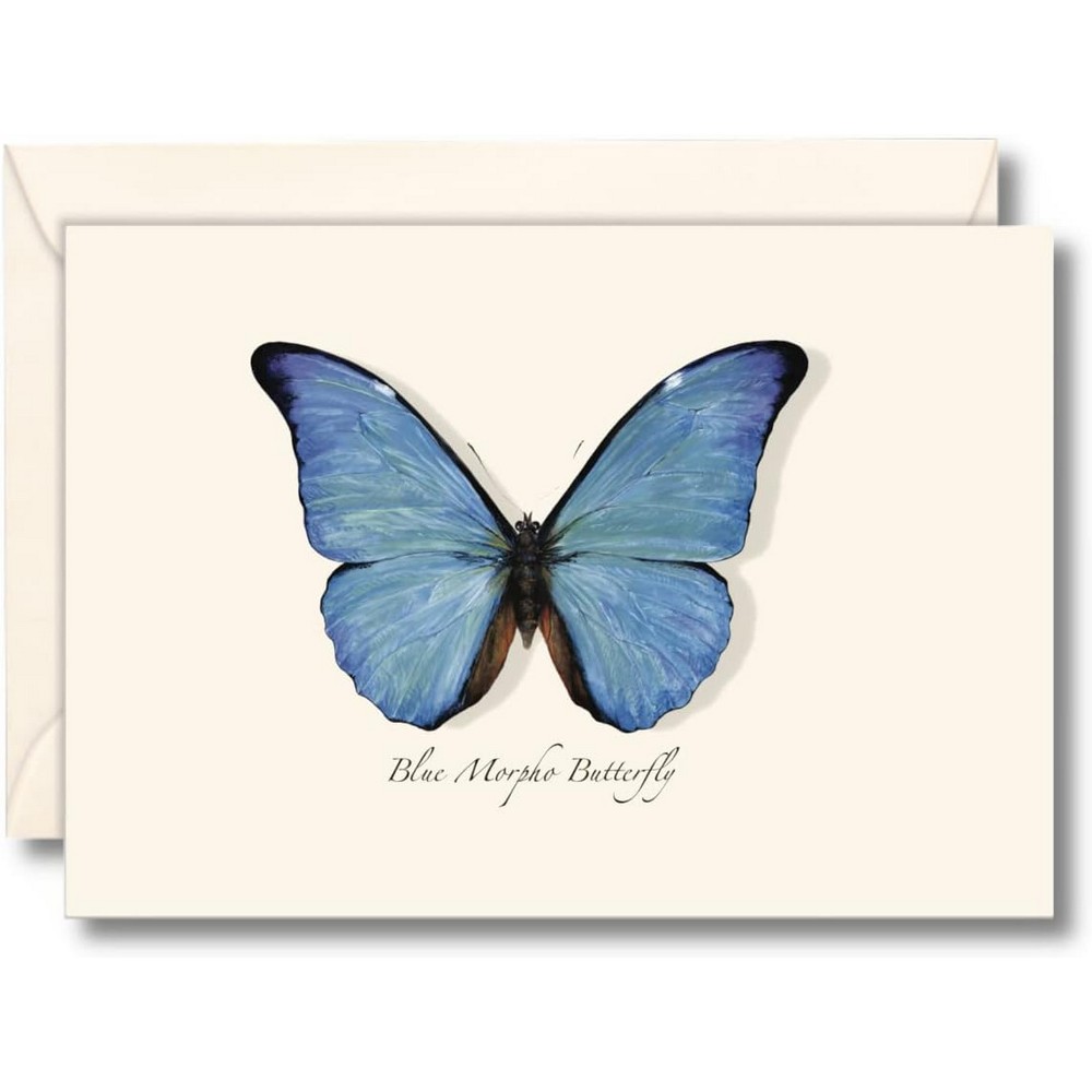 Blue Morpho Butterfly Notecards