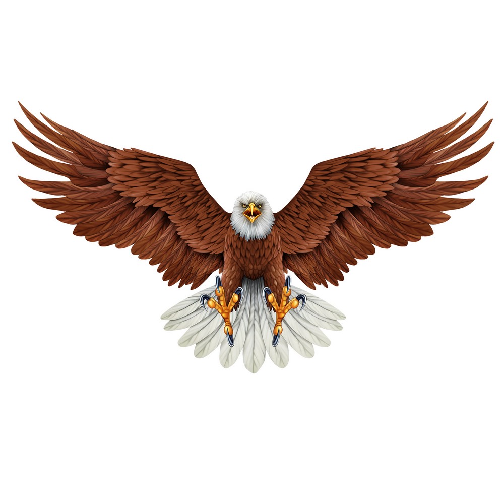 Realistic Screaming Eagle Wall Art