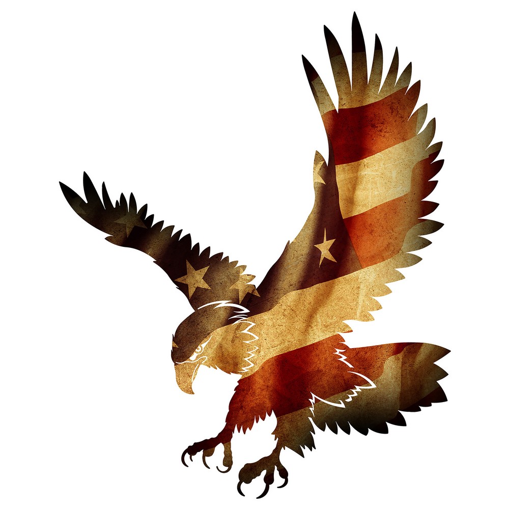 Patriotic Eagle Wall Art Metal