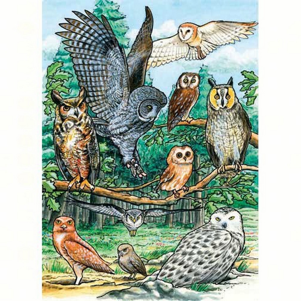 Cobble Hill North American Owls 35 Piece Tray Puzzle