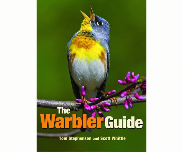 The Warbler Guide by Tom Stephenson and Scott Whittle