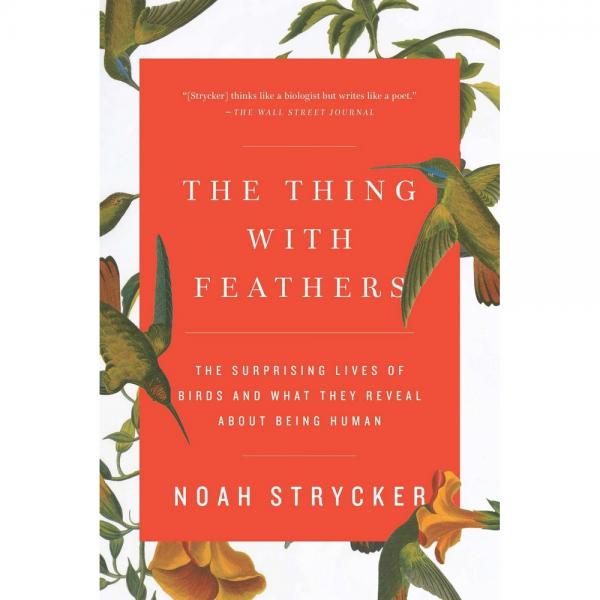 The Thing with Feathers