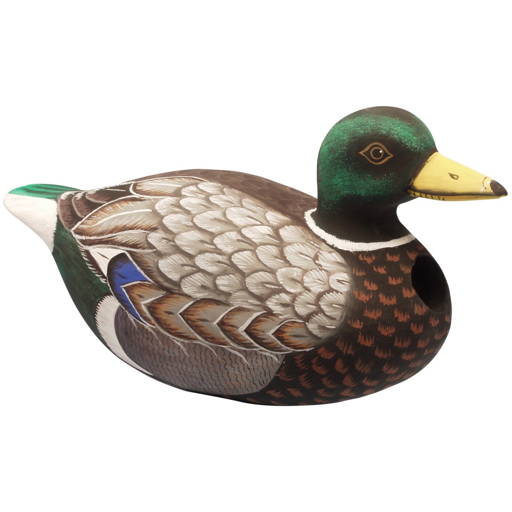 Mallard Duck Bird House