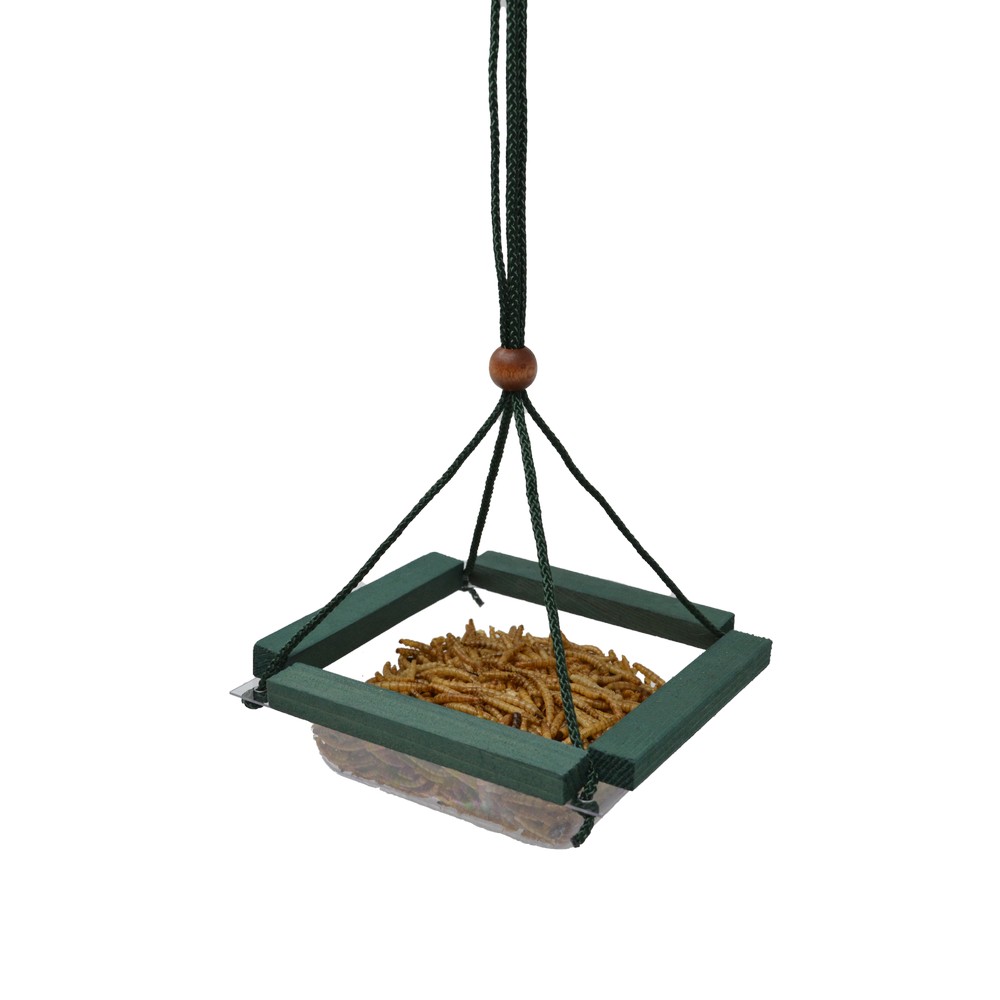 Hanging Mealworm Dish Feeder