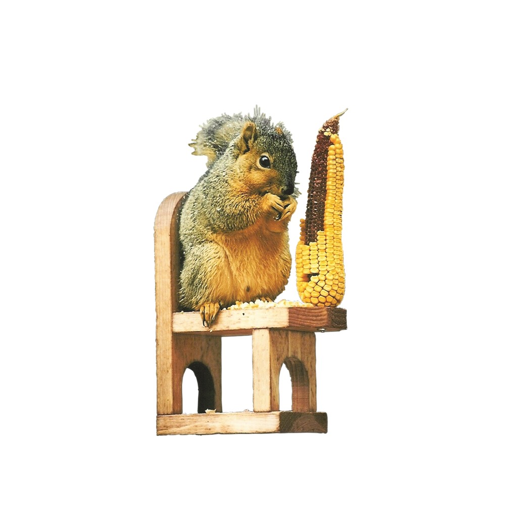 Squirrel Feeder Chair